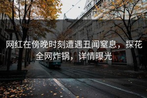 网红在傍晚时刻遭遇丑闻窒息，探花全网炸锅，详情曝光