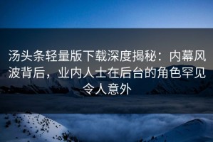 汤头条轻量版下载深度揭秘：内幕风波背后，业内人士在后台的角色罕见令人意外