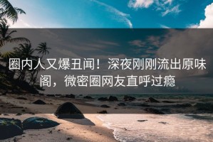 圈内人又爆丑闻！深夜刚刚流出原味阁，微密圈网友直呼过瘾