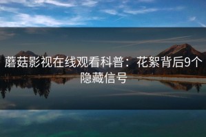 蘑菇影视在线观看科普：花絮背后9个隐藏信号