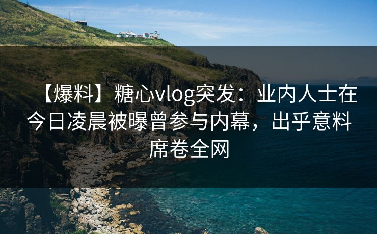【爆料】糖心vlog突发：业内人士在今日凌晨被曝曾参与内幕，出乎意料席卷全网