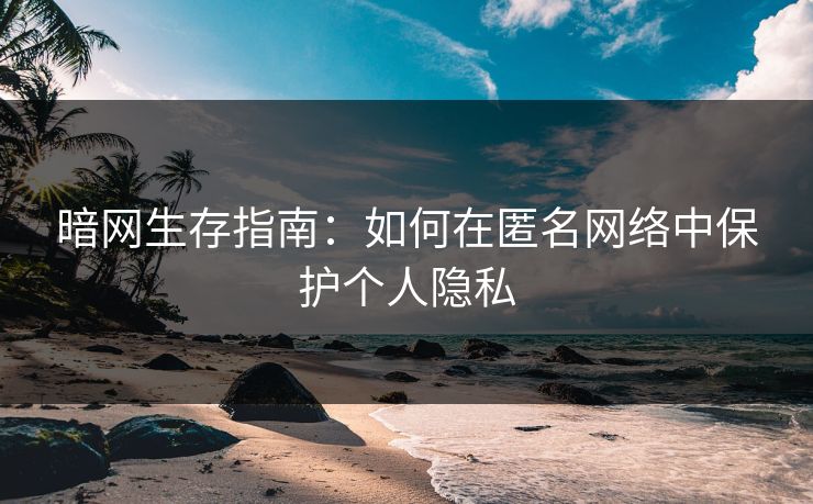 暗网生存指南：如何在匿名网络中保护个人隐私