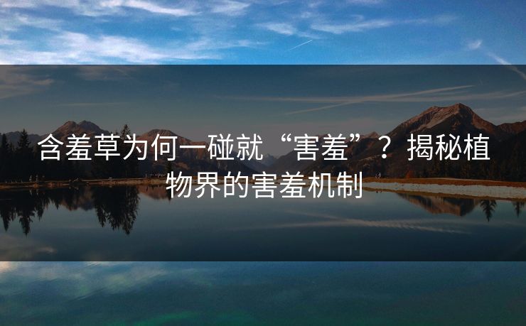 含羞草为何一碰就“害羞”？揭秘植物界的害羞机制