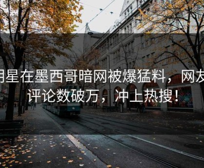 明星在墨西哥暗网被爆猛料，网友：评论数破万，冲上热搜！