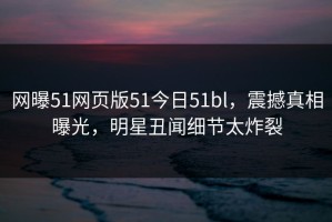 网曝51网页版51今日51bl，震撼真相曝光，明星丑闻细节太炸裂