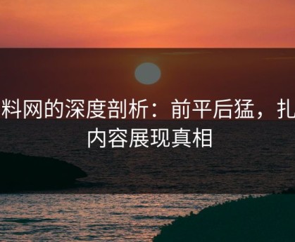 黑料网的深度剖析：前平后猛，扎实内容展现真相
