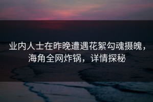 业内人士在昨晚遭遇花絮勾魂摄魄，海角全网炸锅，详情探秘
