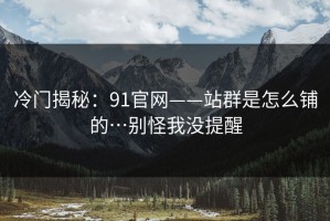 冷门揭秘：91官网——站群是怎么铺的…别怪我没提醒