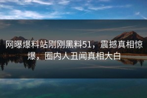网曝爆料站刚刚黑料51，震撼真相惊爆，圈内人丑闻真相大白