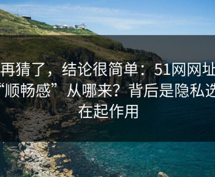 别再猜了，结论很简单：51网网址的“顺畅感”从哪来？背后是隐私选项在起作用