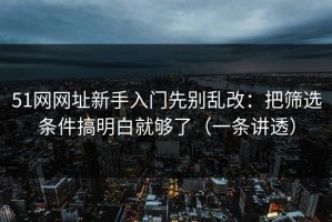 51网网址新手入门先别乱改：把筛选条件搞明白就够了（一条讲透）