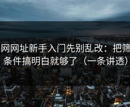 51网网址新手入门先别乱改：把筛选条件搞明白就够了（一条讲透）