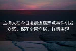 主持人在今日凌晨遭遇热点事件引发众怒，探花全网炸锅，详情围观