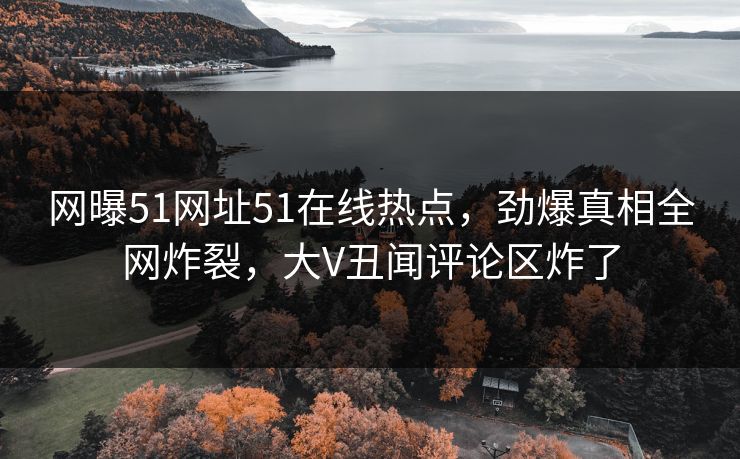 网曝51网址51在线热点，劲爆真相全网炸裂，大V丑闻评论区炸了
