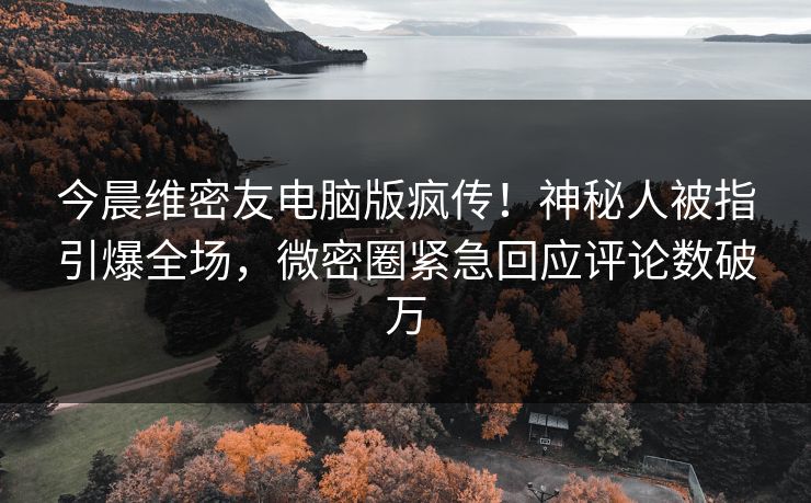 今晨维密友电脑版疯传！神秘人被指引爆全场，微密圈紧急回应评论数破万