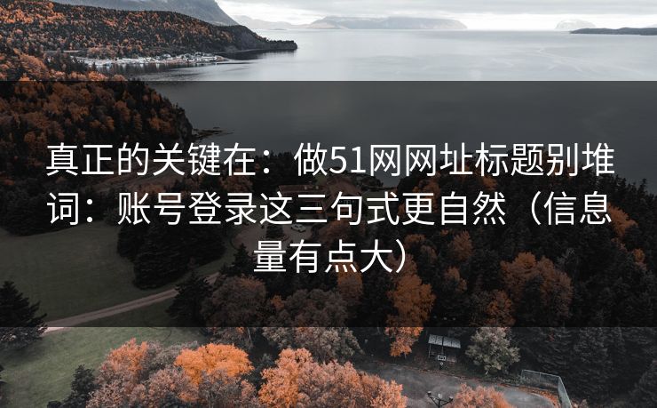 真正的关键在:做51网网址标题别堆词:账号登录这三句式更自然(信息量有点大) 真正的关键在:做51网网址标题别堆词:账号登录这三句式更自然(信息量有点大)